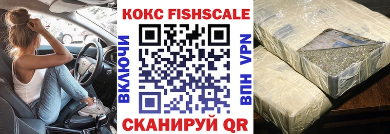 kraken как войти  Зеленогорск  Cocaine Эквадор 
