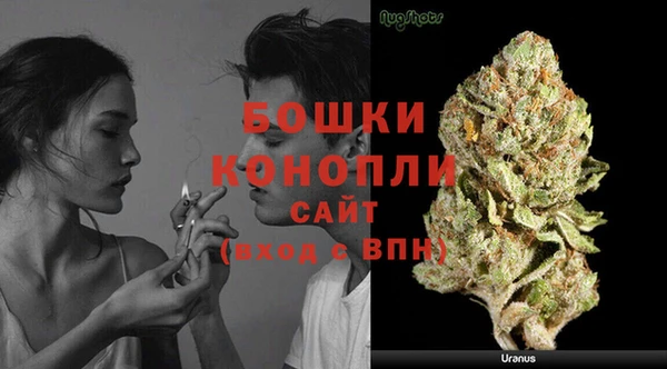 шишки Россошь