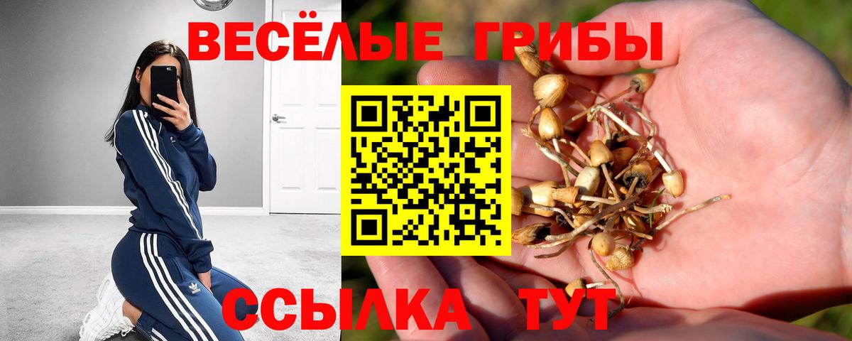 Псилоцибиновые грибы Magic Shrooms Зеленогорск
