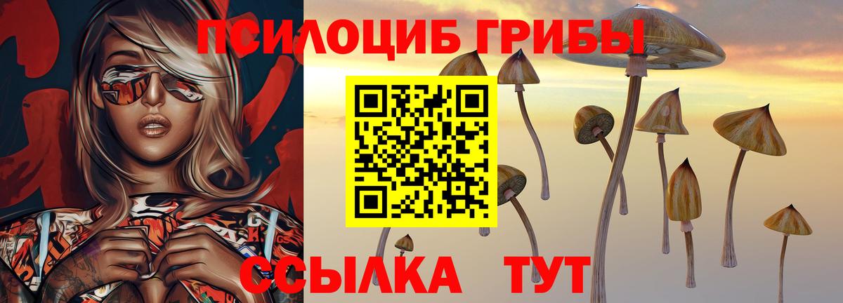 закладки  Галлюциногенные грибы Cubensis  Вход с VPN  Зеленогорск 